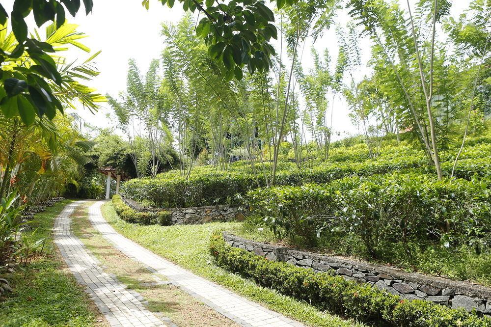 Oriole Villas 벤토타 외부 사진